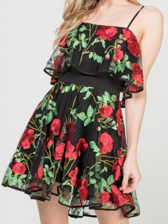 A Peach Dresses & Skirts - Black with red Embroidery Floral Mini Dress with adjustable straps